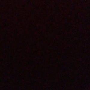 Meet your Posher, Lexy